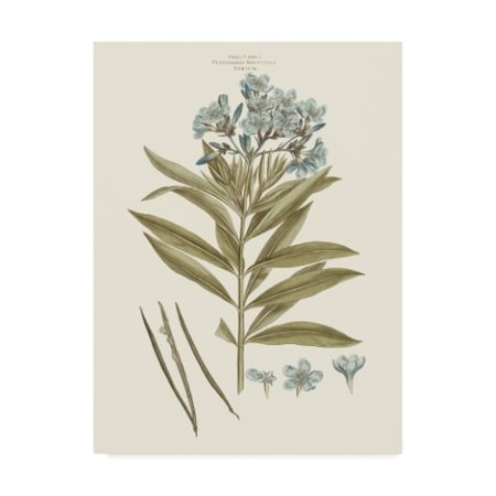 flowerページ Vans Sk8-Hi Tapered Stackform Floral Embroidery Platform